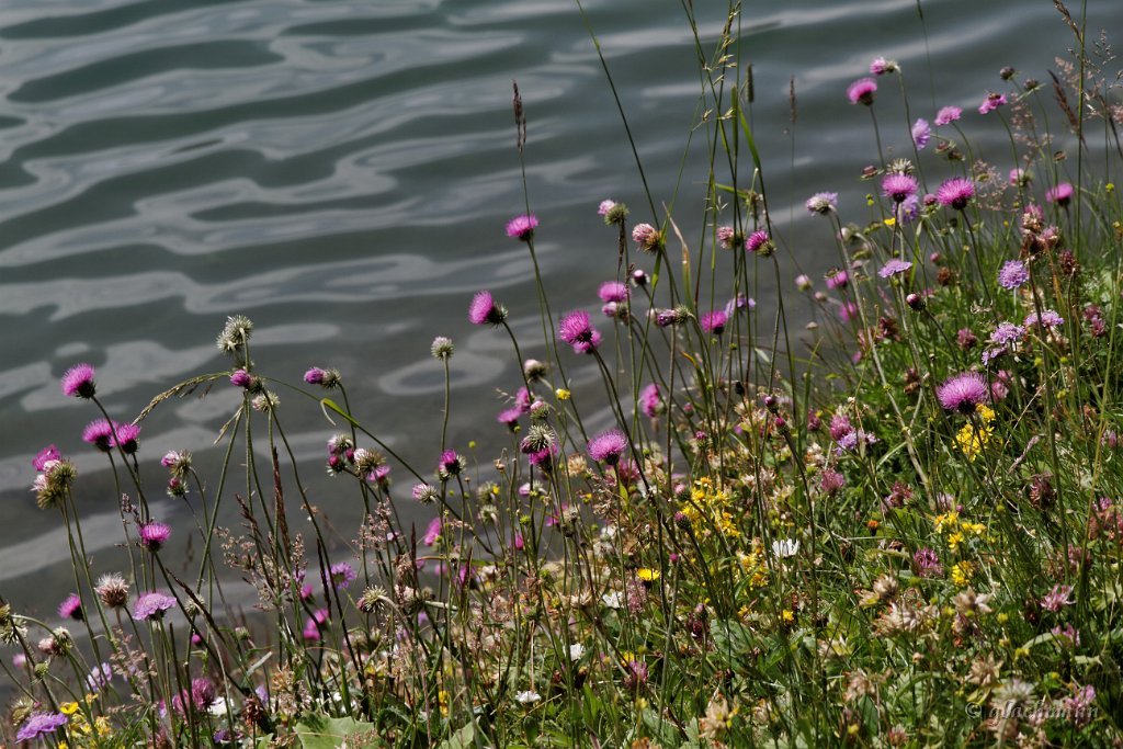 20130803_109